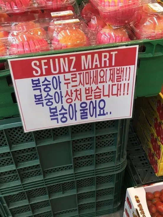sora._.momo_의 .
