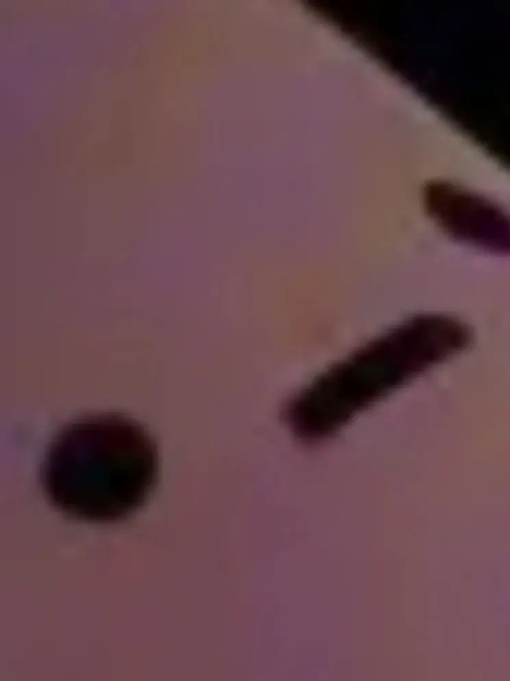 zipgegosipda의 집사랑 잘 살다가 사람이됐다!