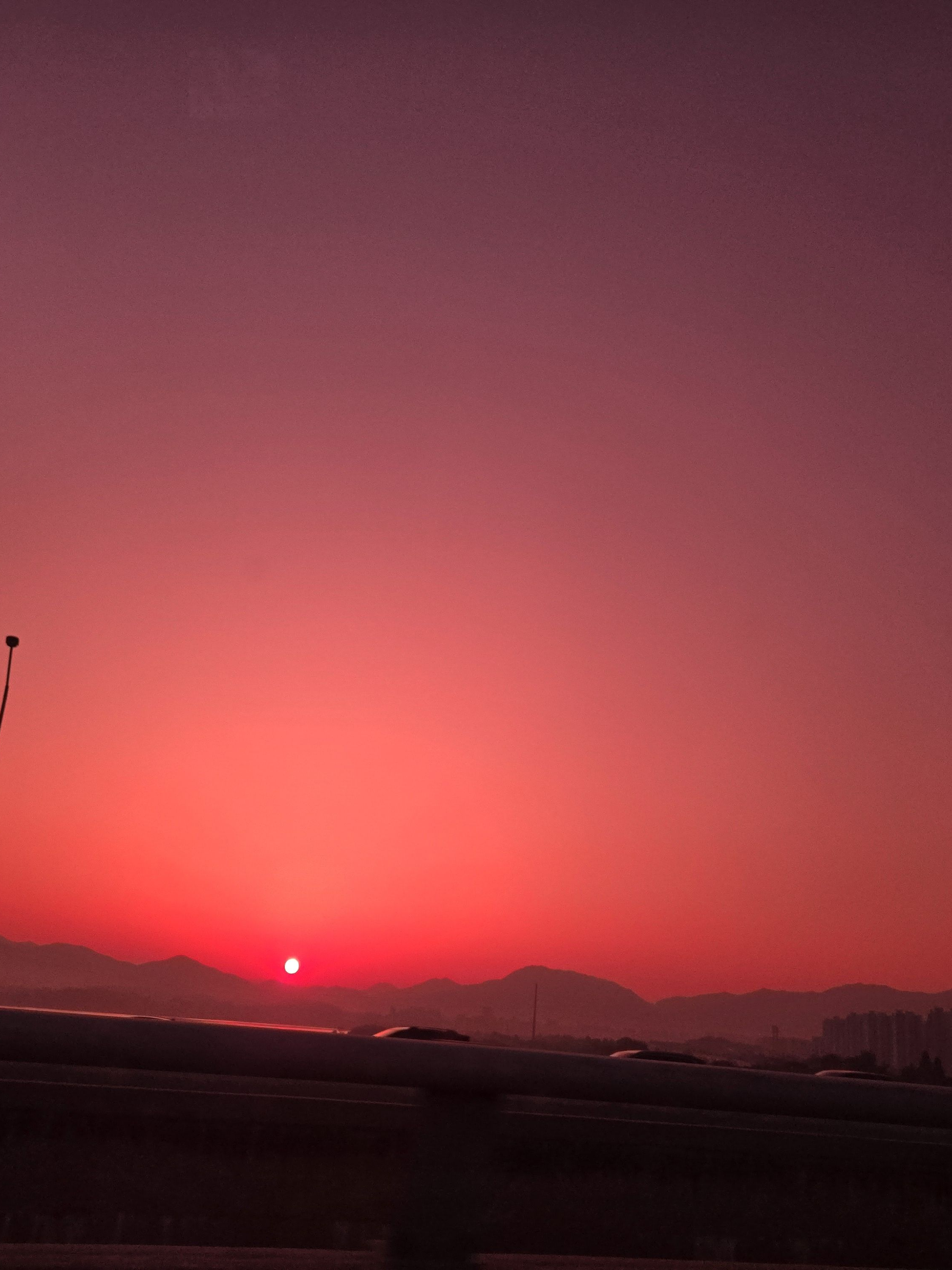너희들을 내 카메라에 담고 싶어 대표 이미지