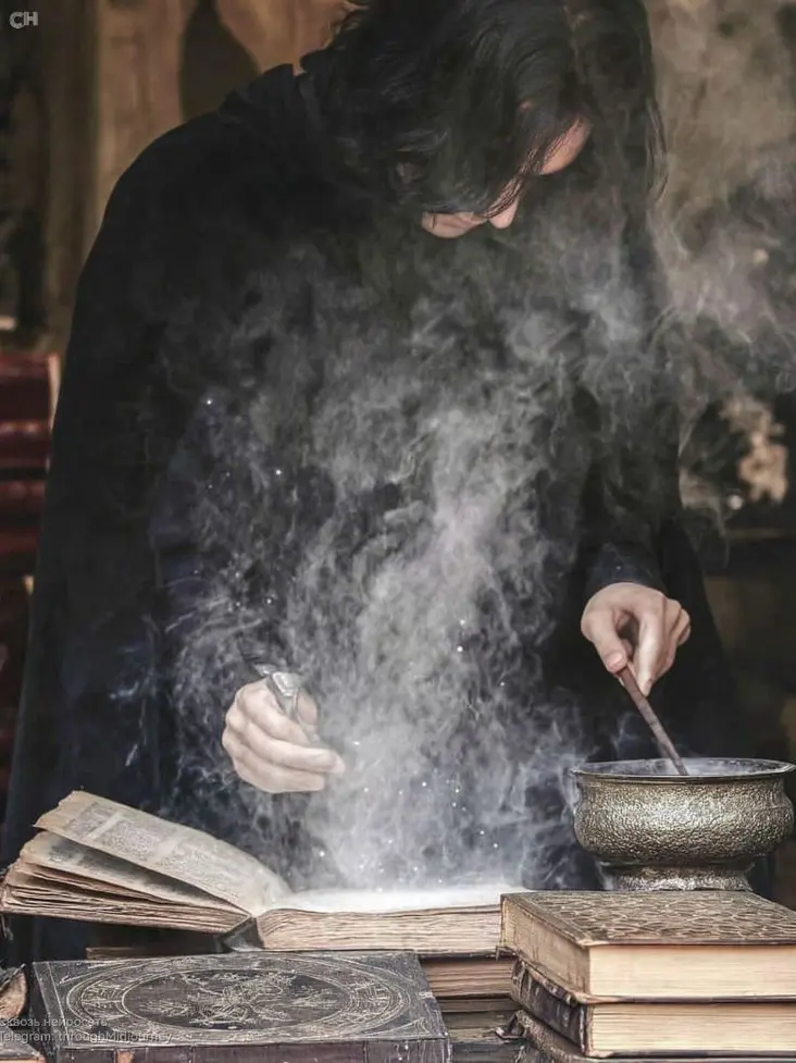 Sara_jjkl123의 Severus Snape