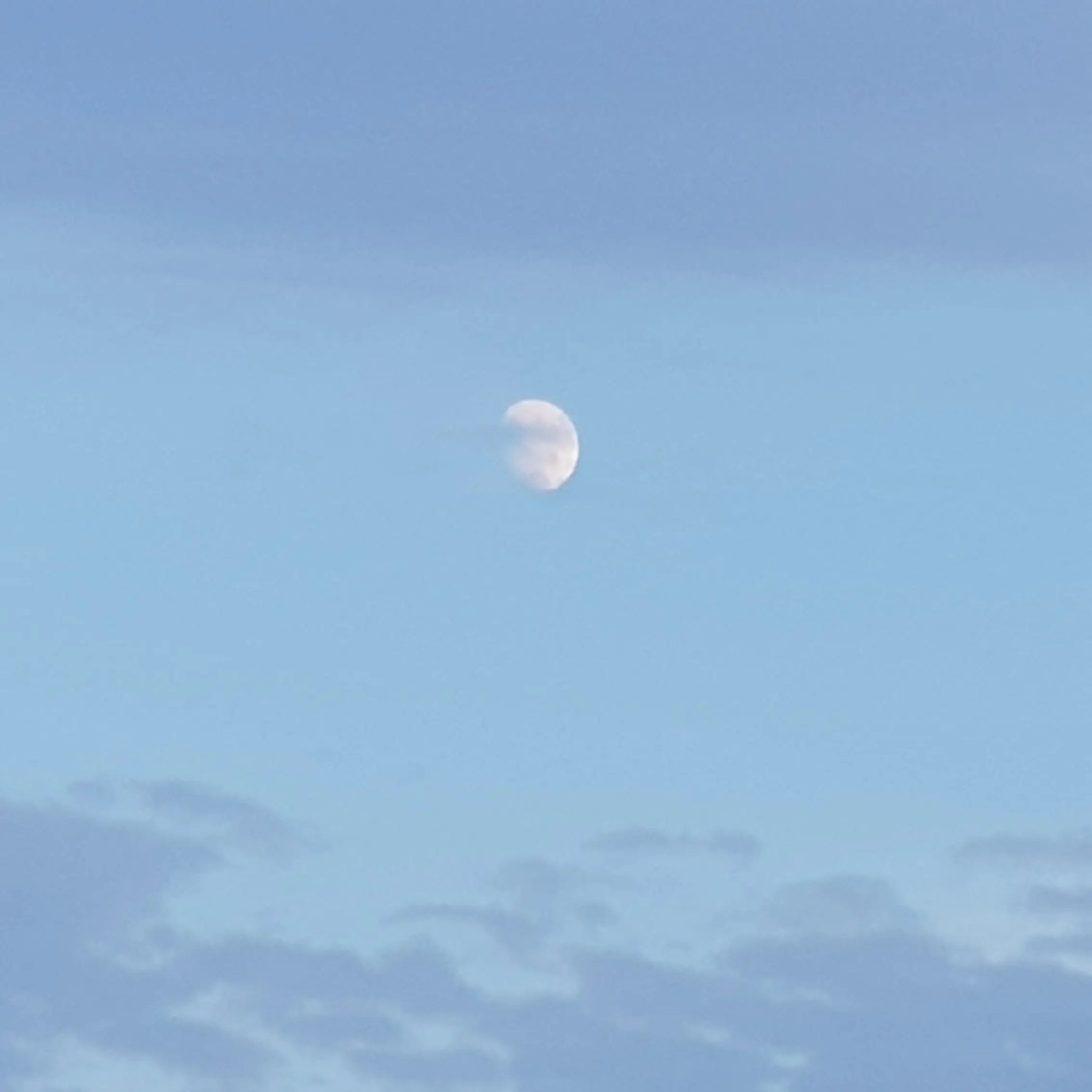 DaftlyGown4228의 싱어송라이터 이무진