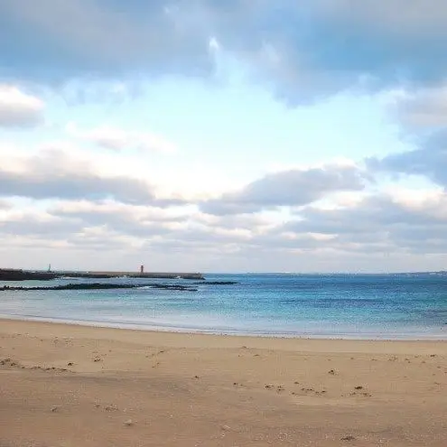 QuietClean3698의 김하린