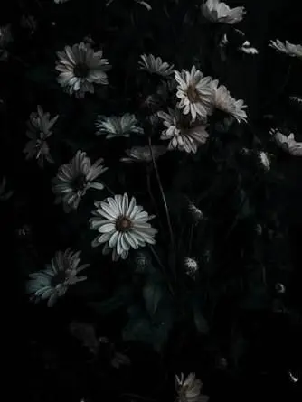 CattySheet4389의 M E A M ! !