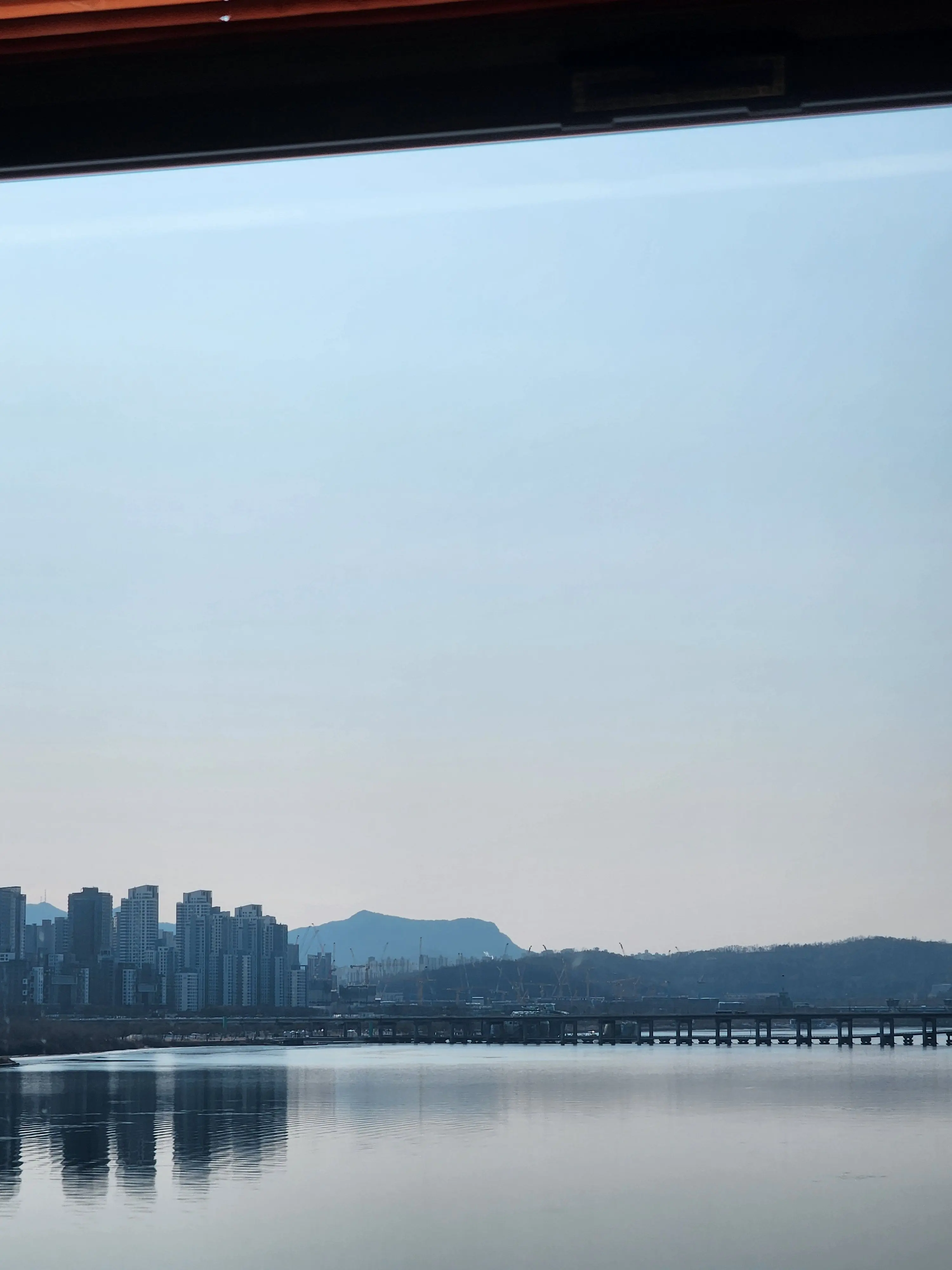 FloralRoot0373의 과거