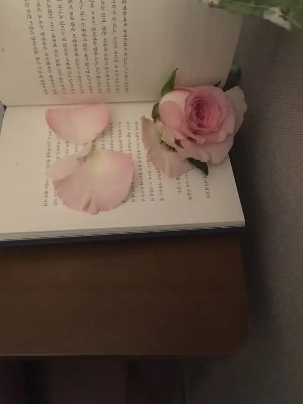 osmannthus의 이동혁