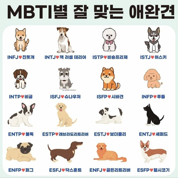 "개"인 보스 [bl] 대표 이미지