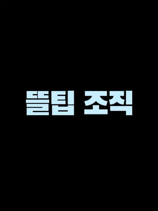 BrownChef1702의 뜰팁 조직의 보스인 유저