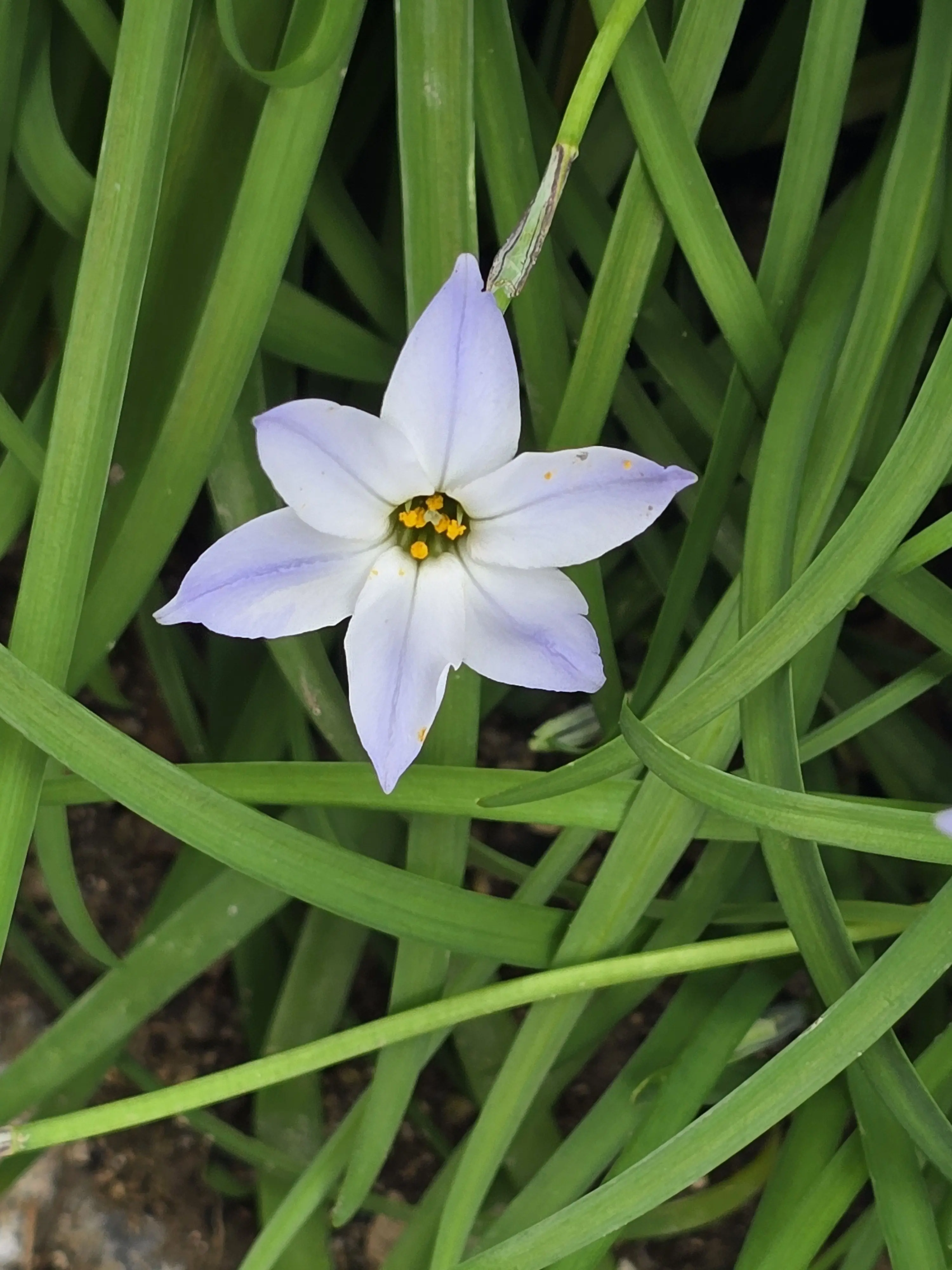 JuicyToe5947의 뜰팁 밤을 보는 눈