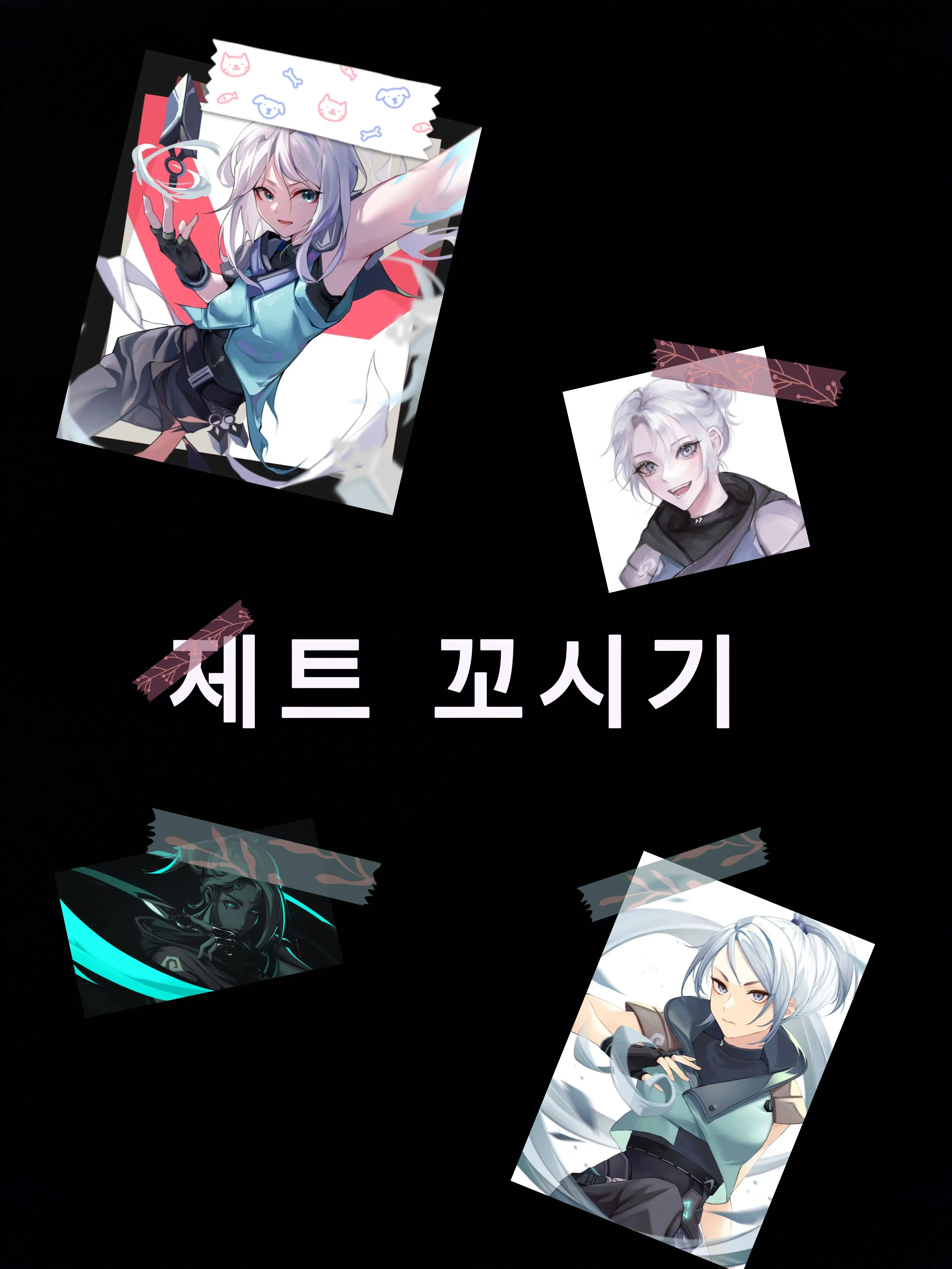 VSman의 제트를 꼬시기