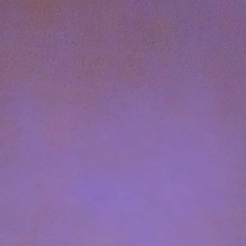 폭군의 쉐프
