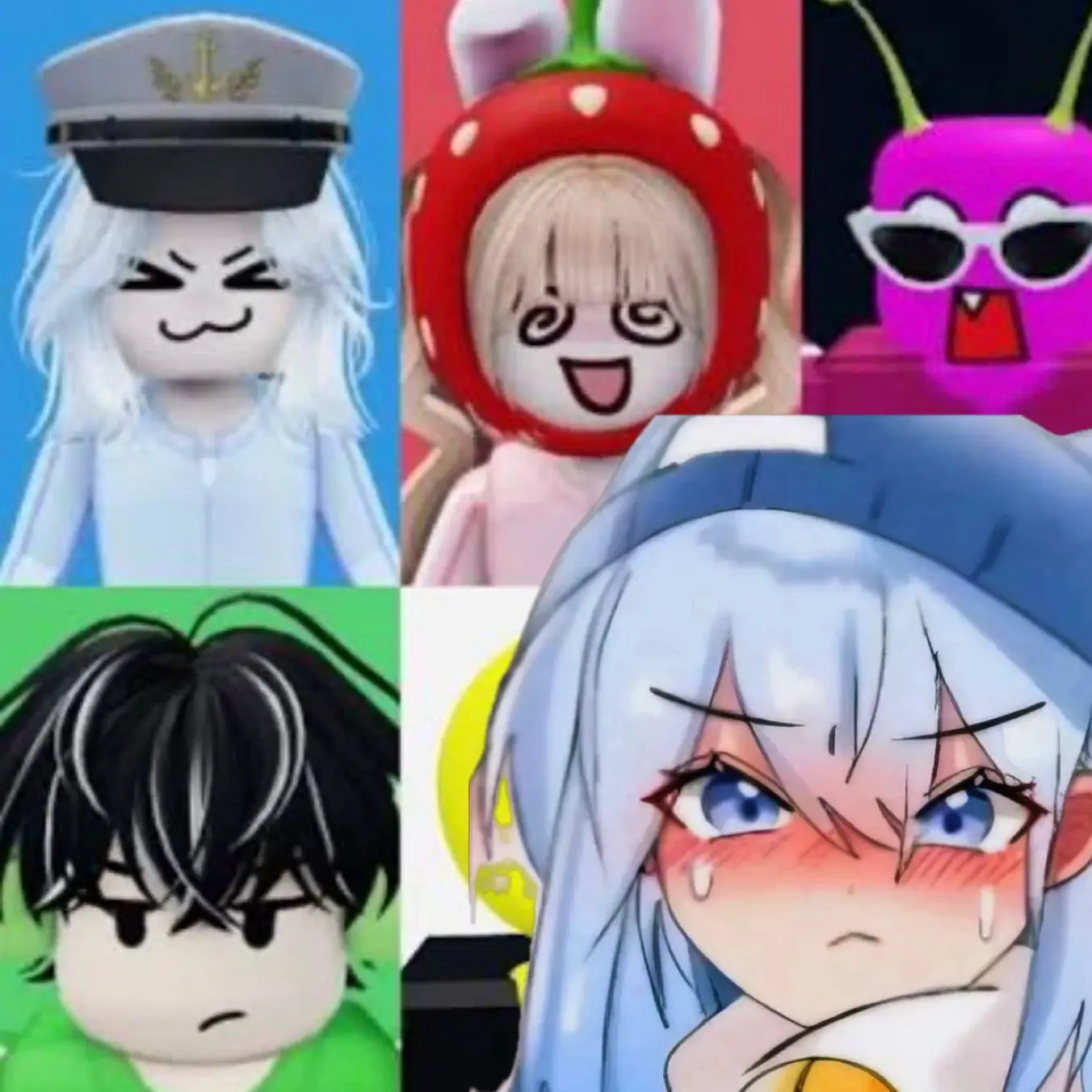 temu_happy의 쫄쫄이 vs 꽥꽥