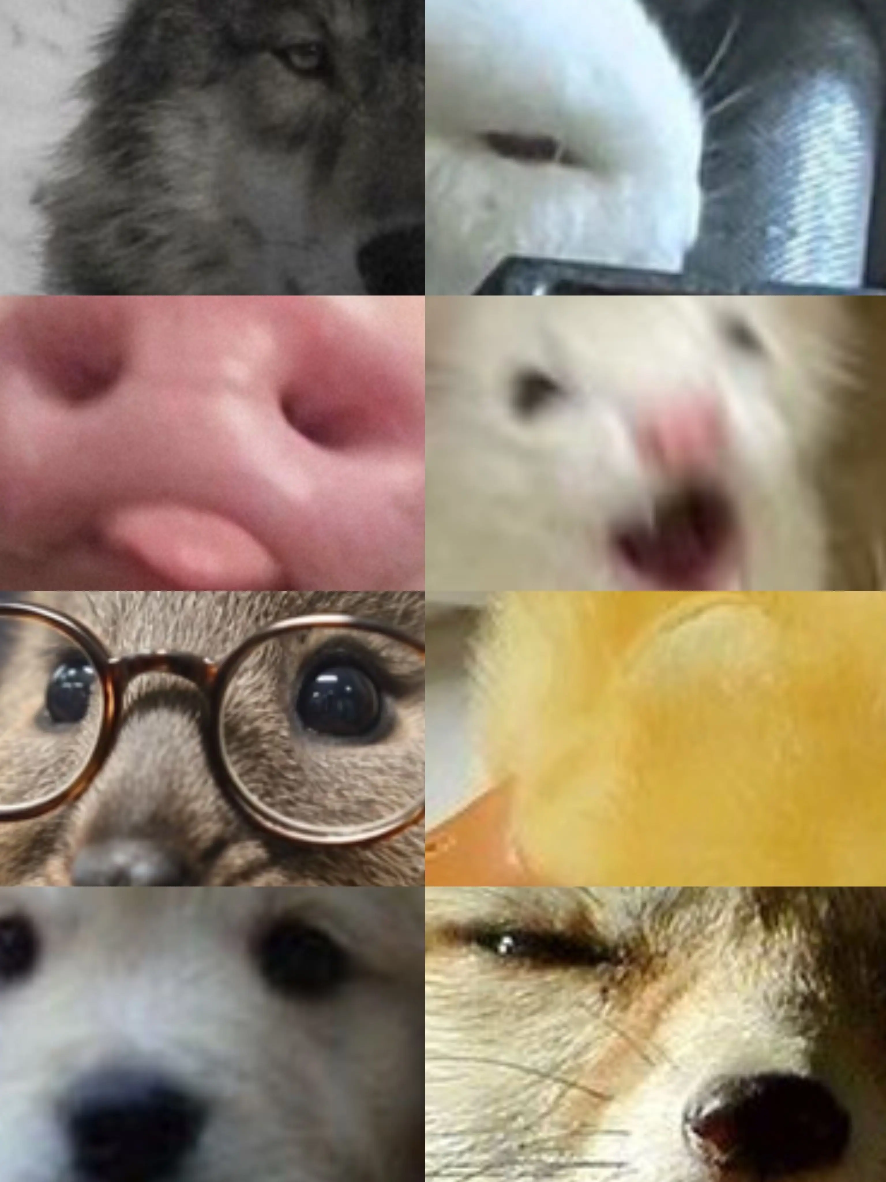 LooseBatik5151의 straykids