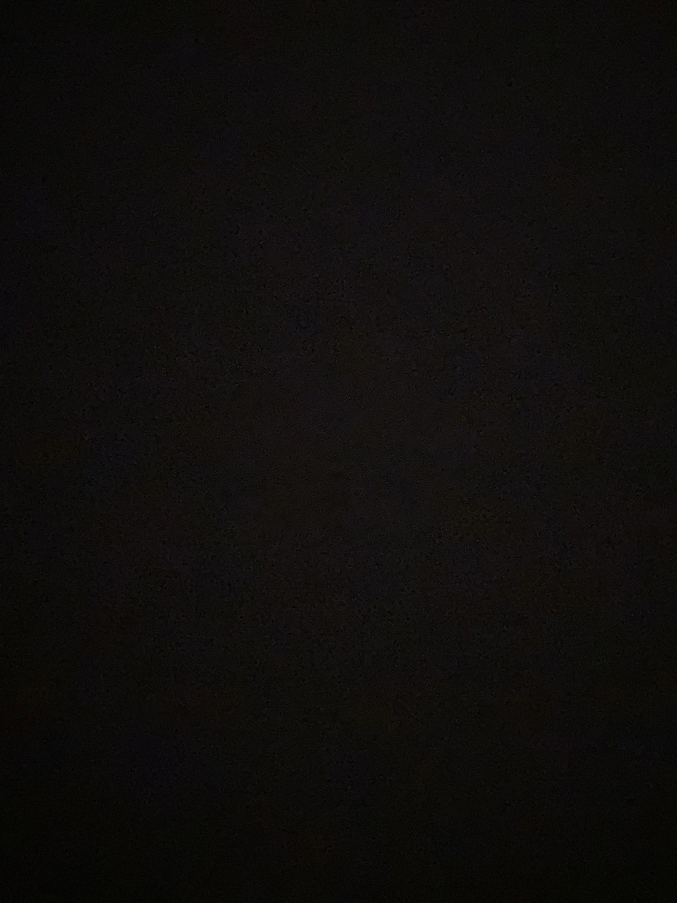 WaryRazor2352의 대학교 실용음악과