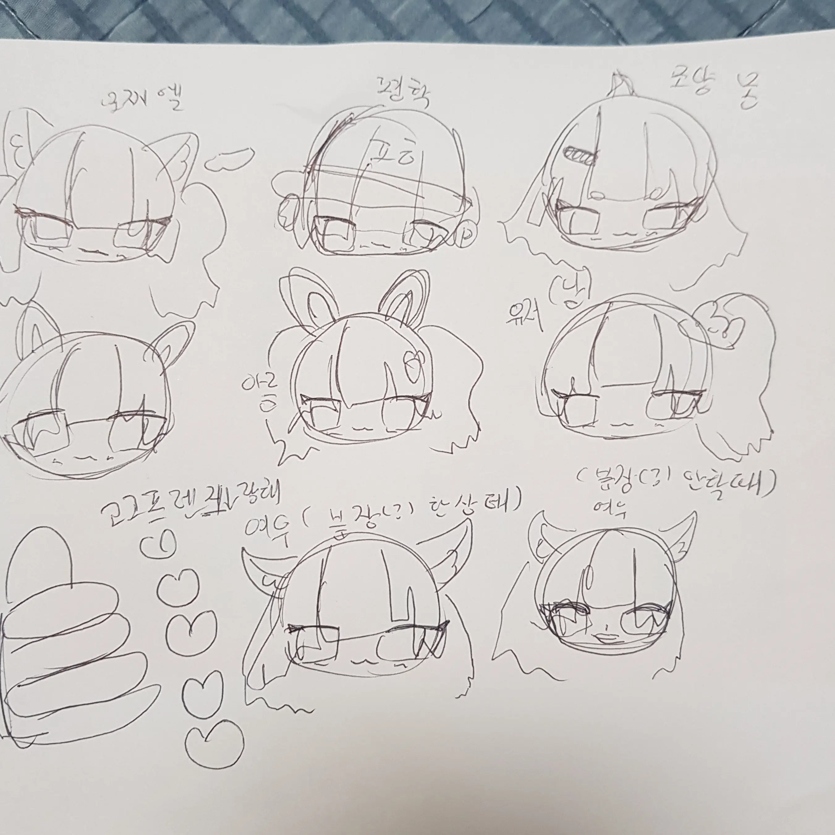 ChewyEider0478의 고고프렌즈+여우+제주도여행!