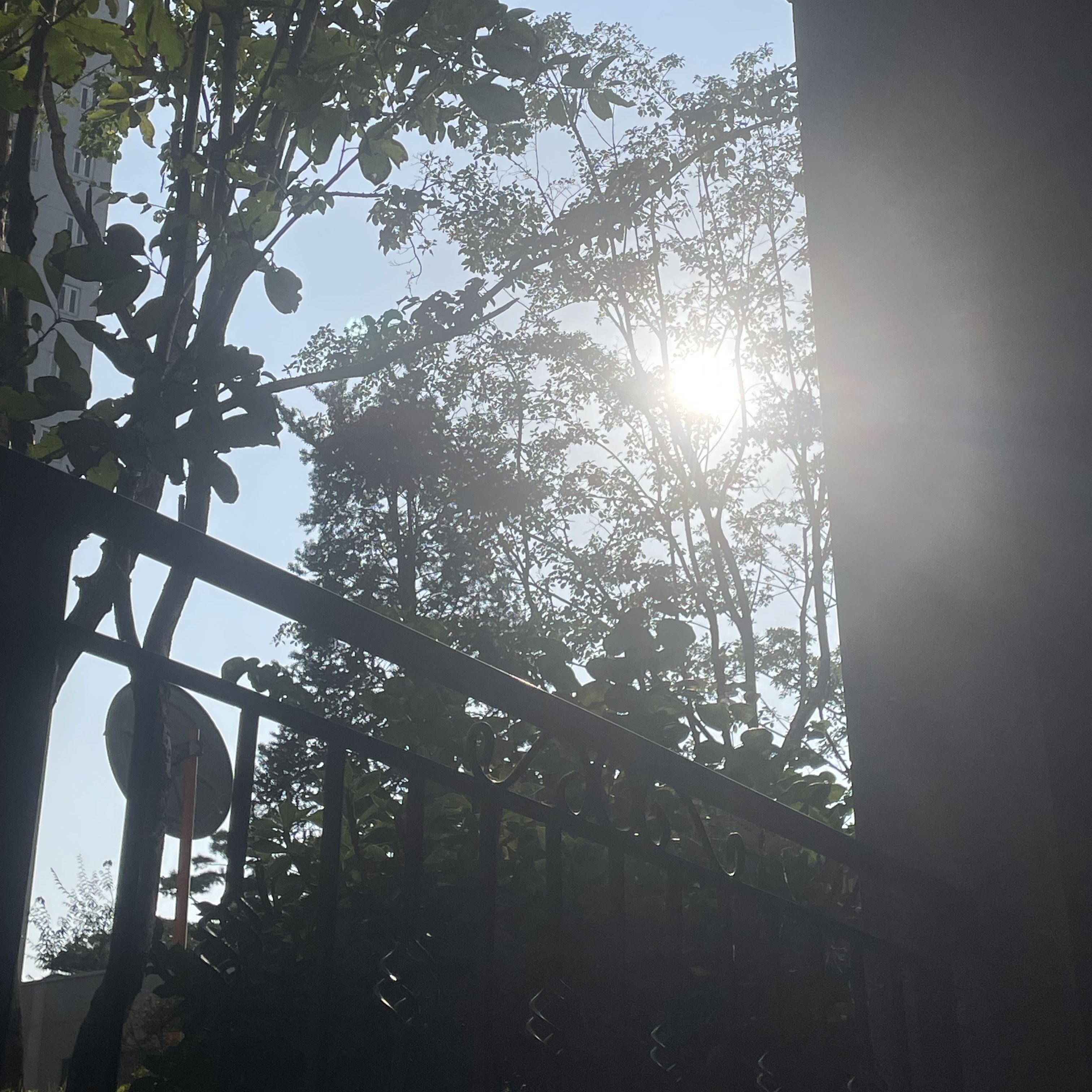 픽셀 특별조직. 대표 이미지