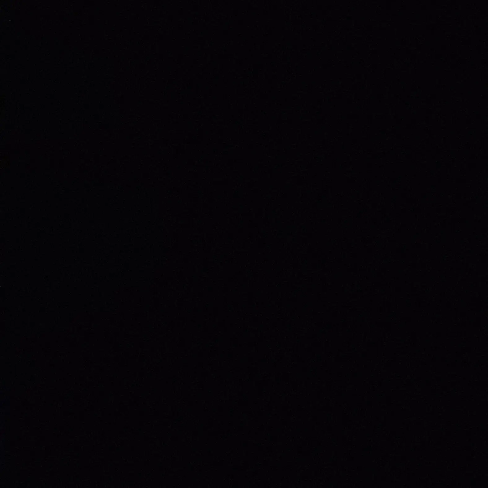 YesorNot의 김 동 현