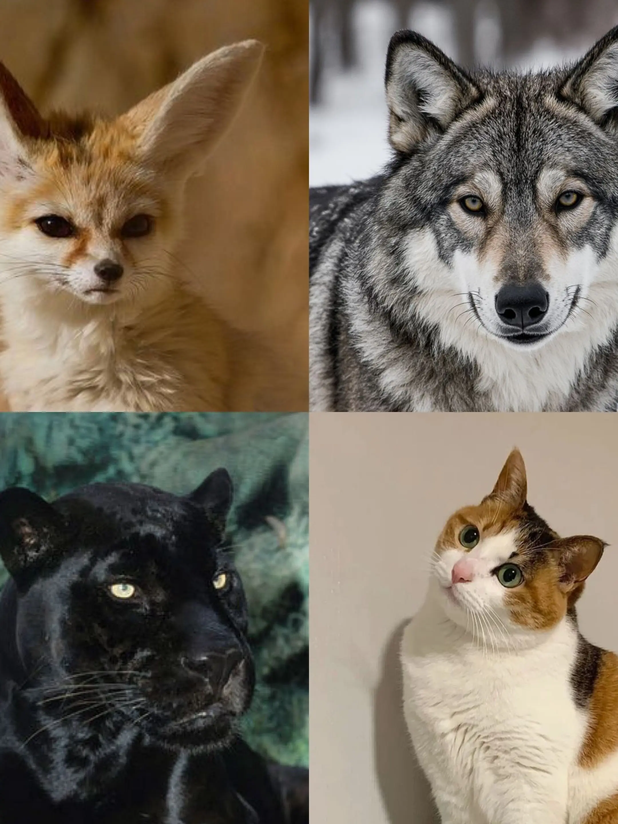 MutedChunk6935의 너 납치된 거야