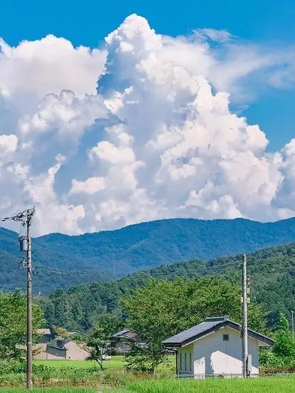 AmphoLover13의 おつかれSummer