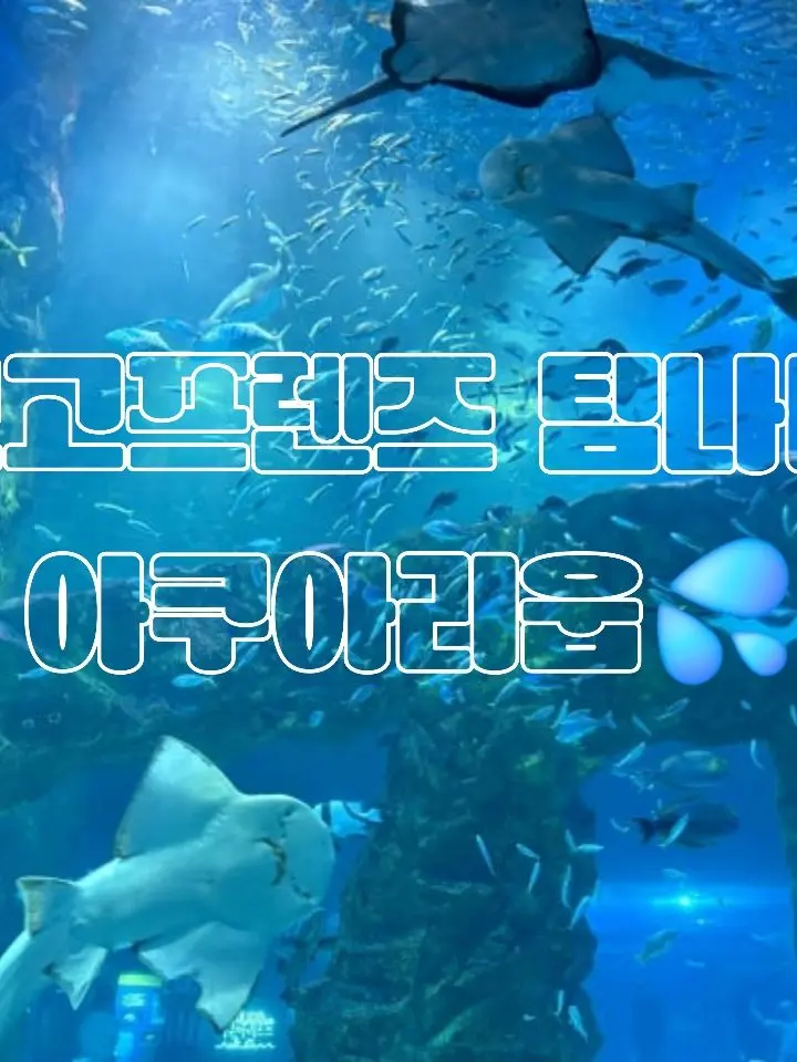 SuperbBeads6034의 고고프렌즈 팀나빠 아쿠아리움💦