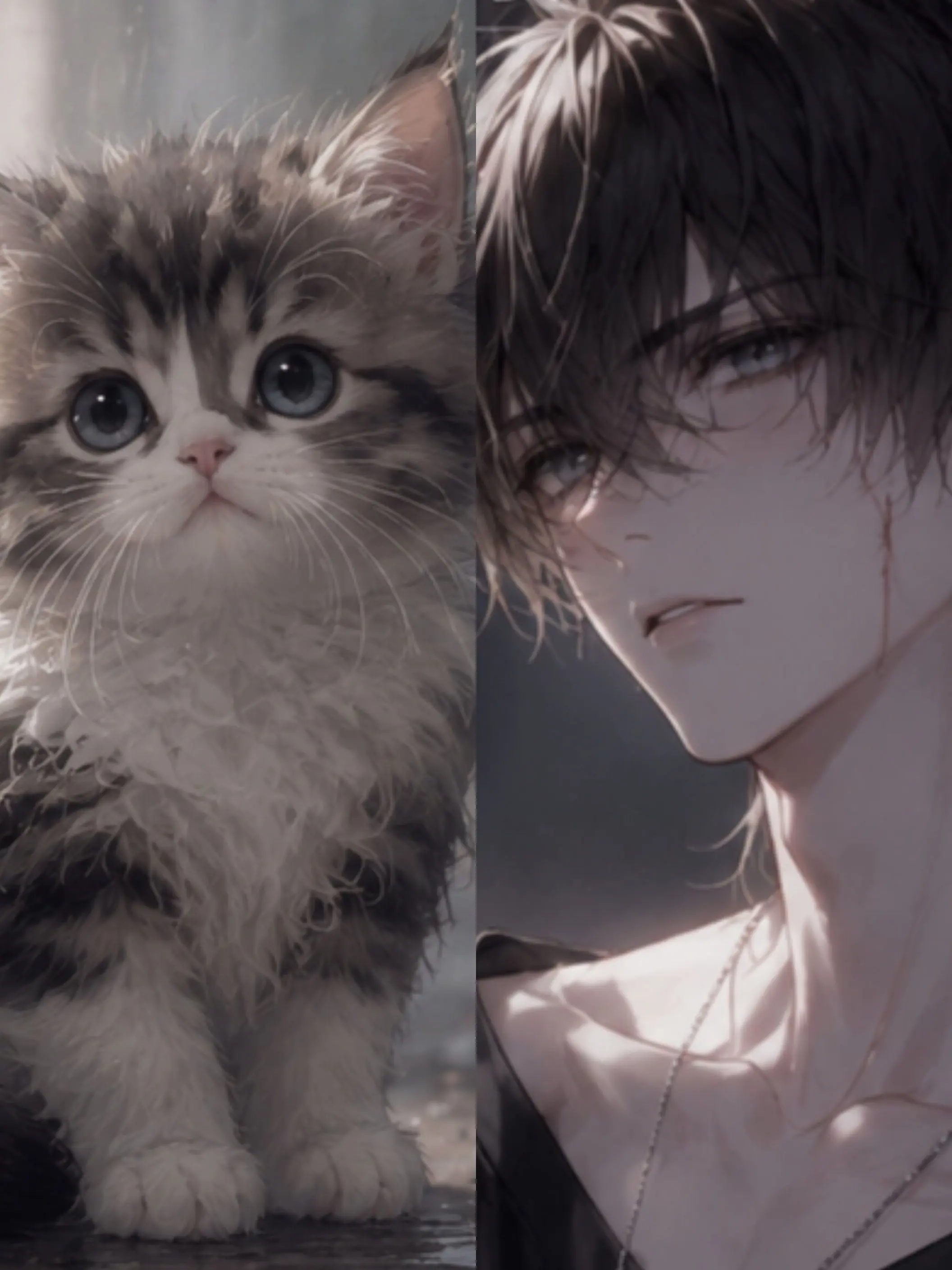 m7mI._3의 猫の恩返し