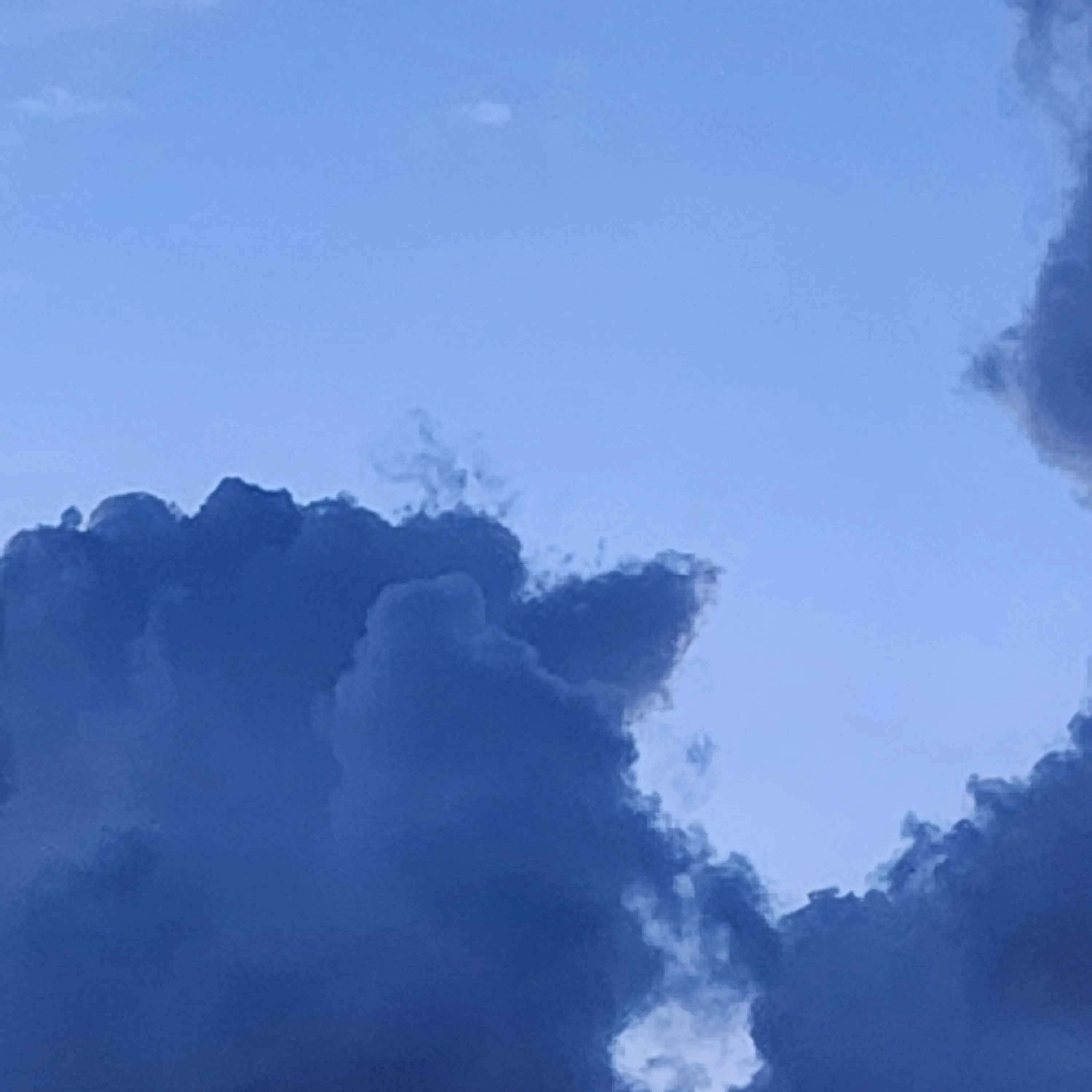 HungryThigh2647의 살인자 한지성