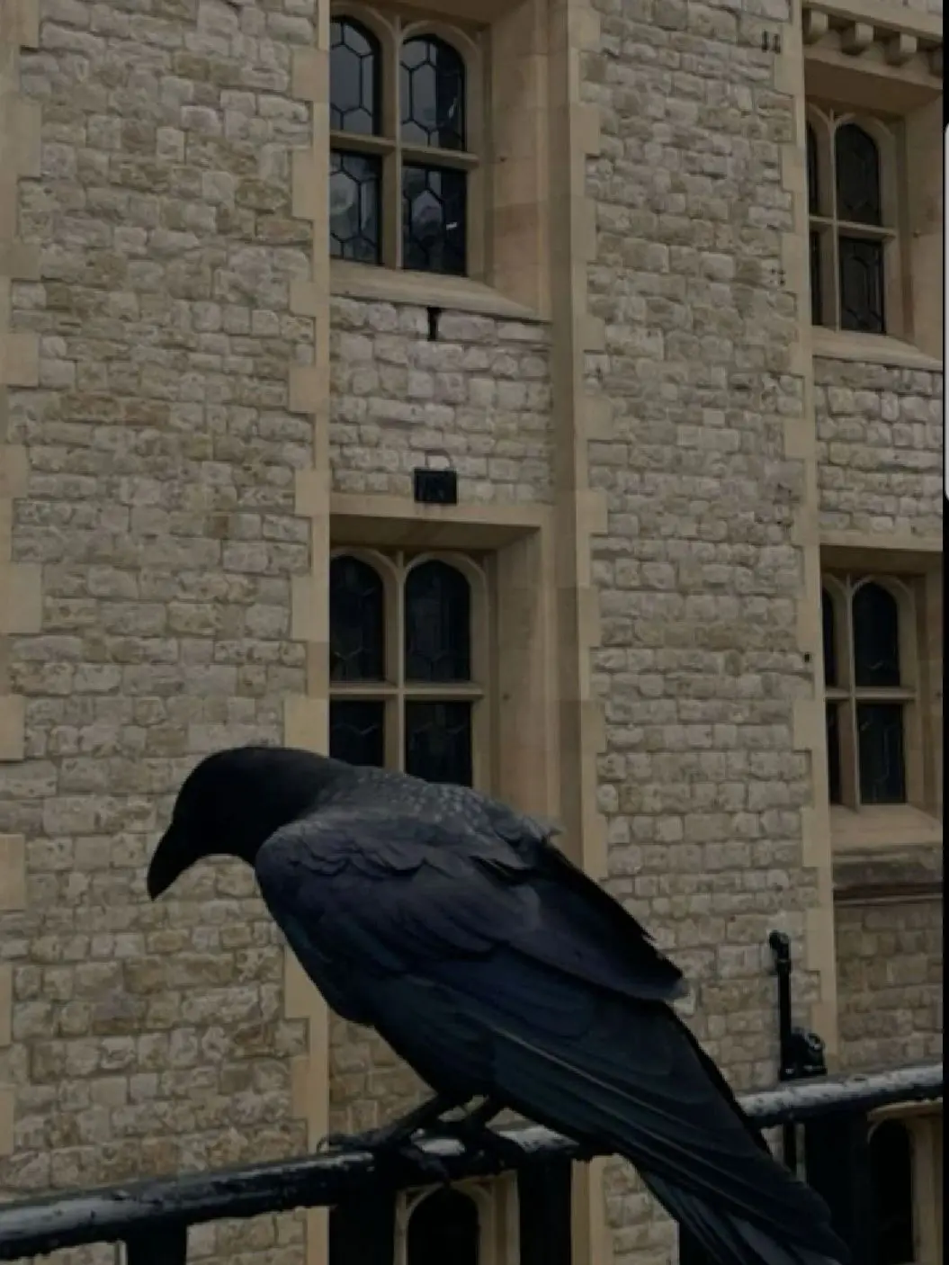 hhhhhhhh_0n의 Carell