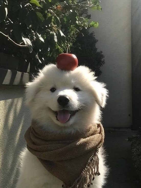 친구 대표 이미지