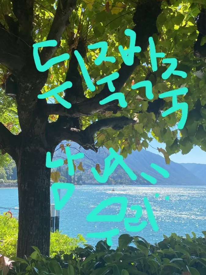 BlandBid1323의 일찐이 유저를괴롭힌다?