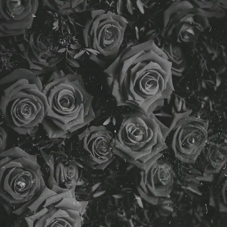 eVx1995615의 腐男子×松村北斗