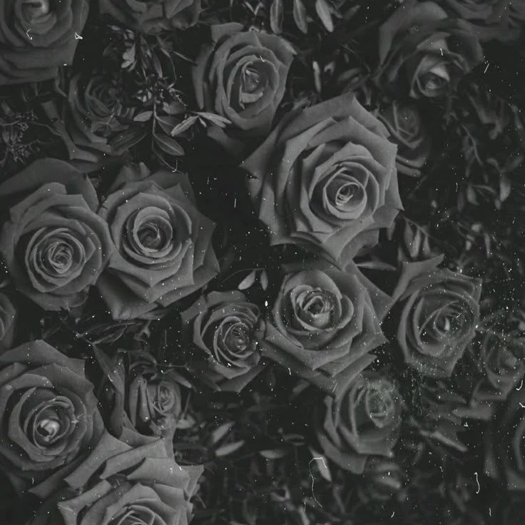 腐男子×松村北斗