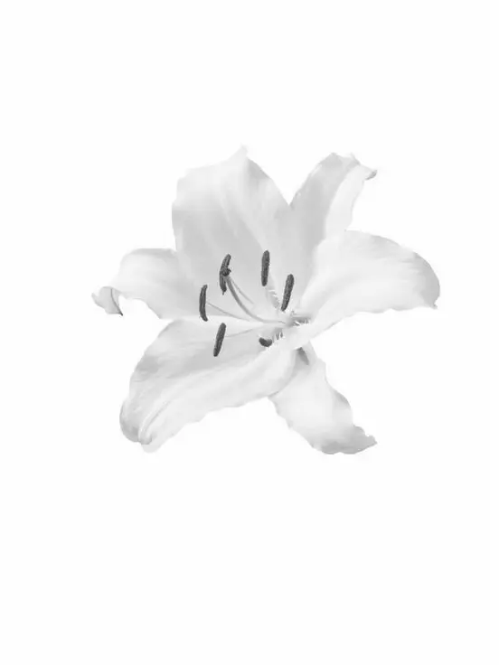 rln9_ee의 お呼びじゃないのはさ