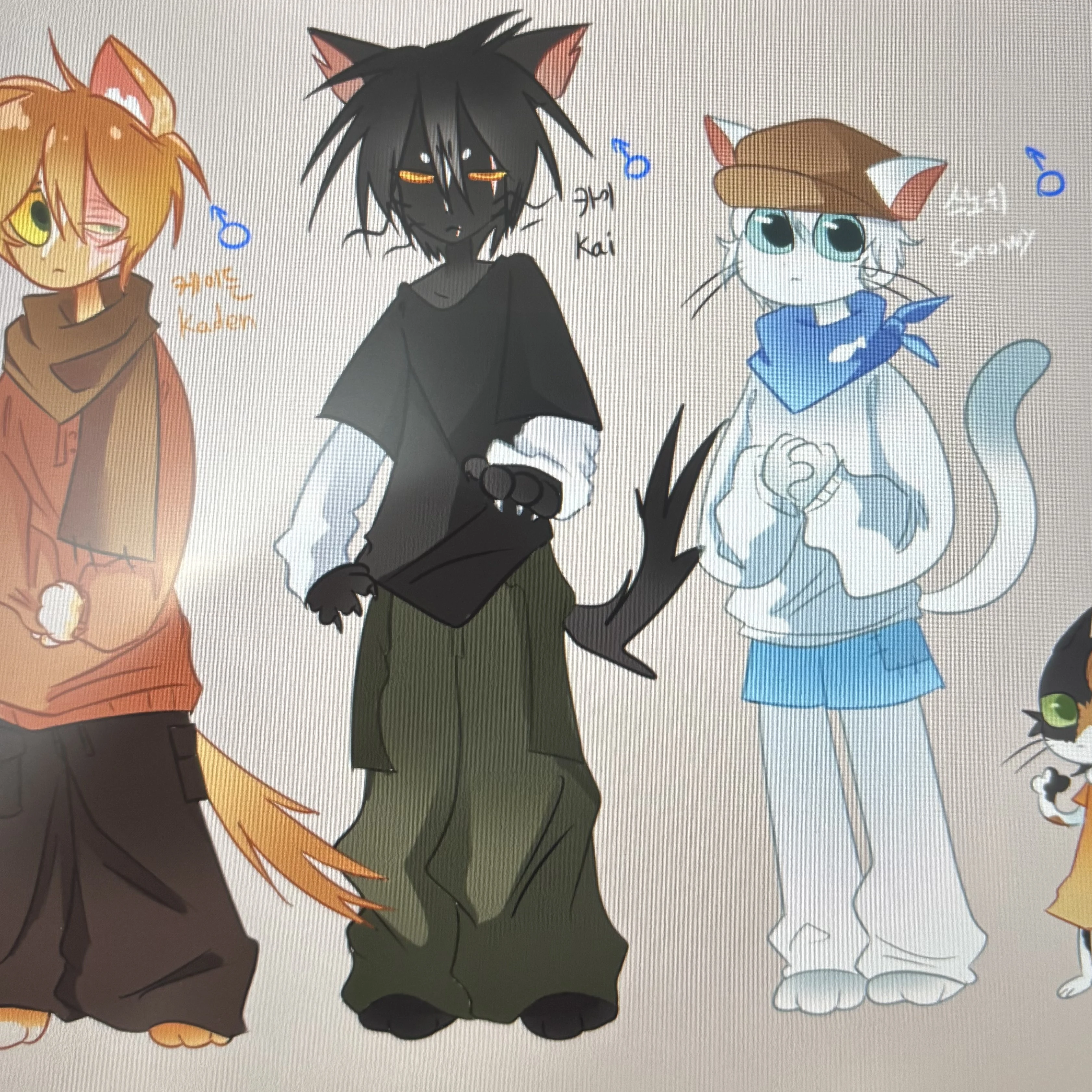 떠돌이고양이들