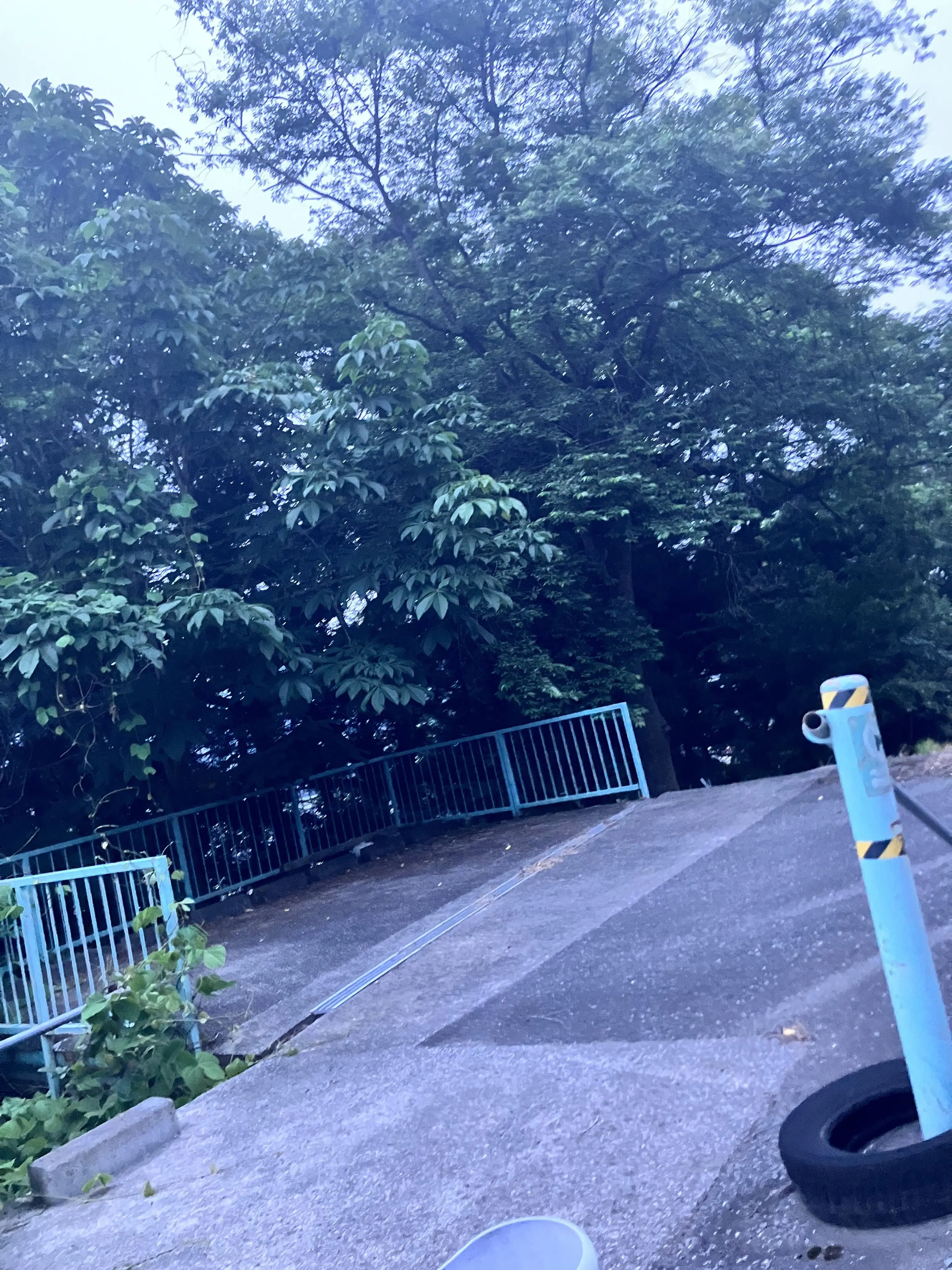 MagicZorse3542의 ぎぶみ~！チョコレート