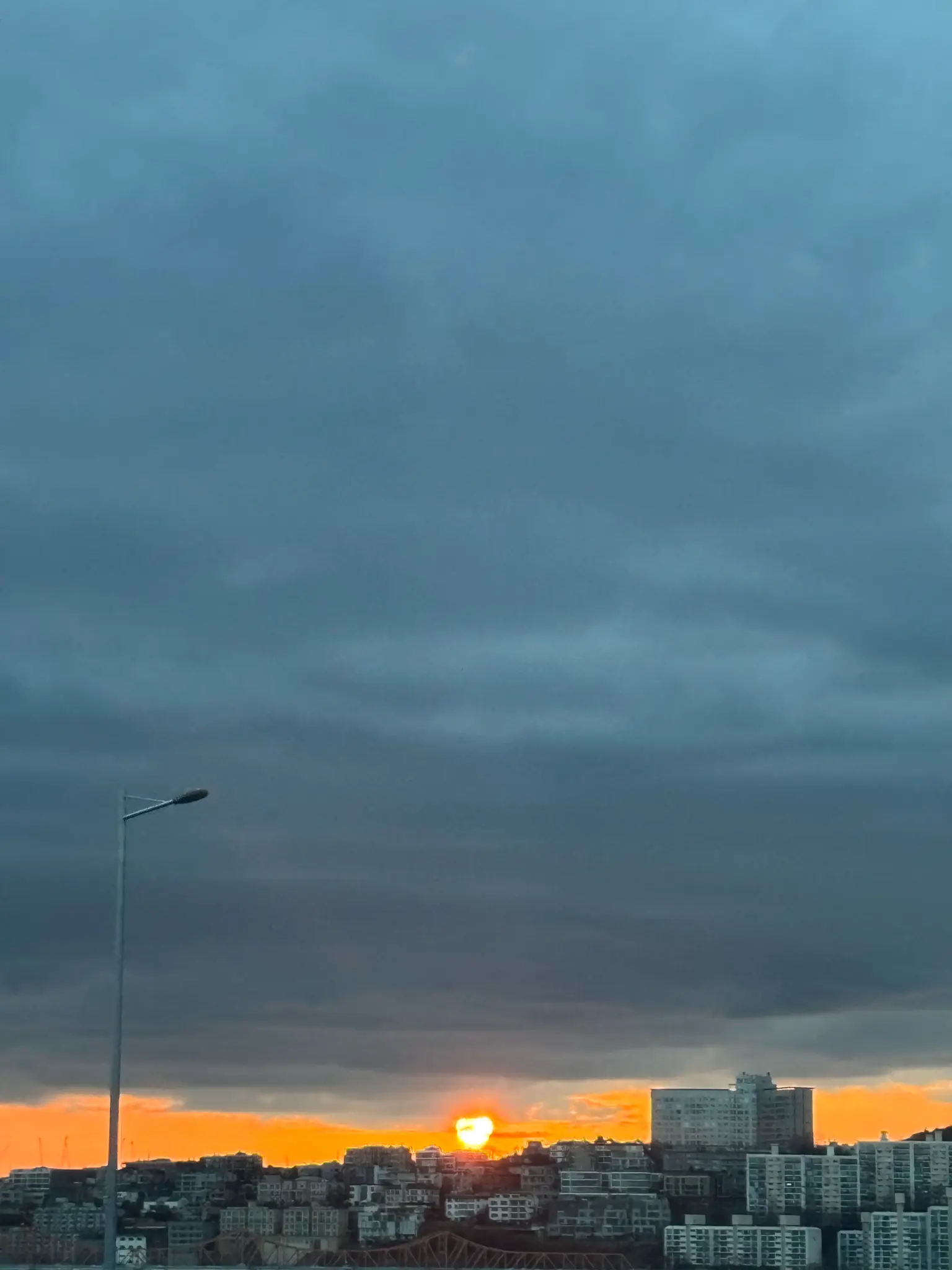 MorbidBean2376의 언더커버 하이스쿨