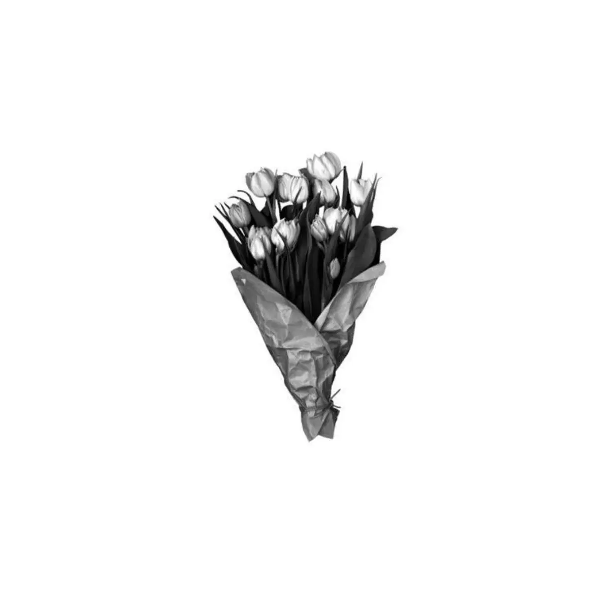 wk0.x_2의 사노 만지로