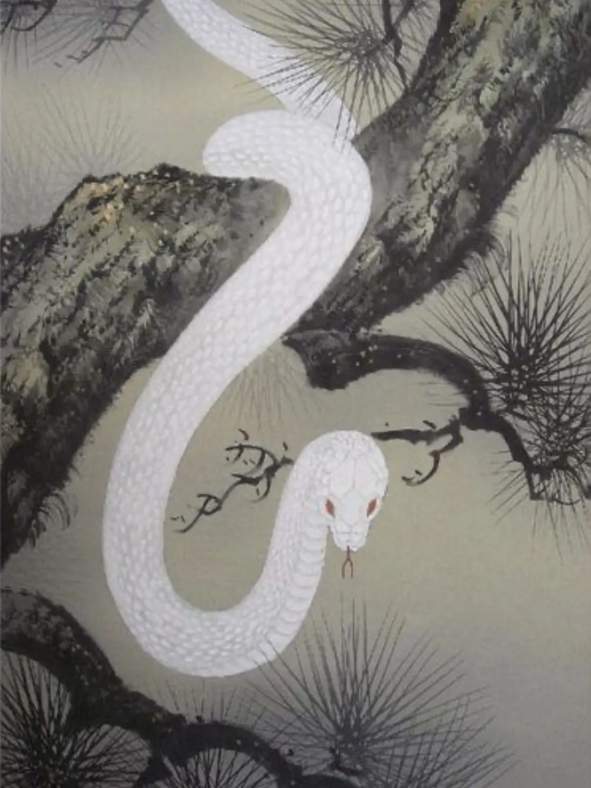 Gee_bee의 또, 인간을 보러…