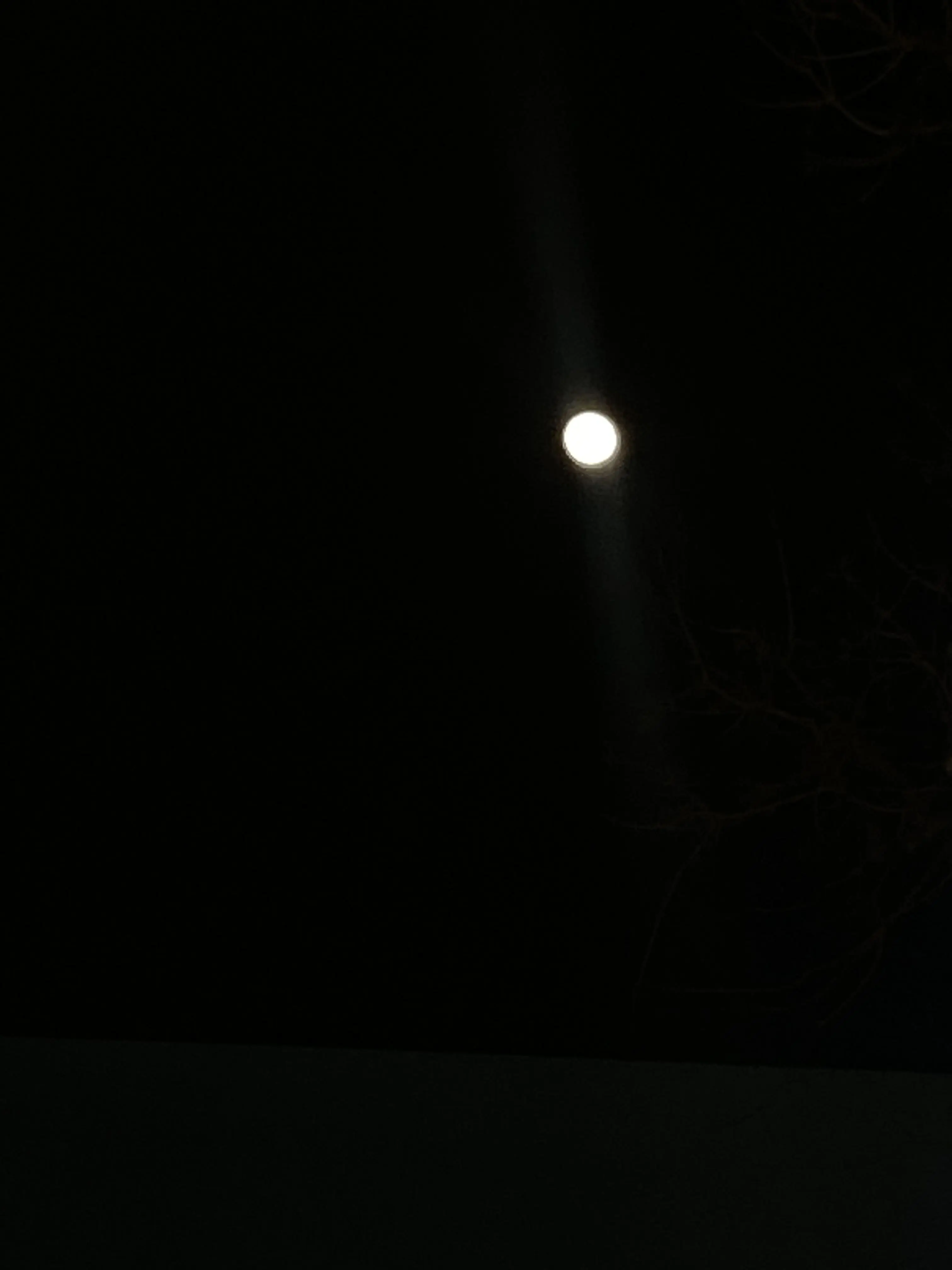 NearCrisp6487의 冒険者になってからモテているかも...!