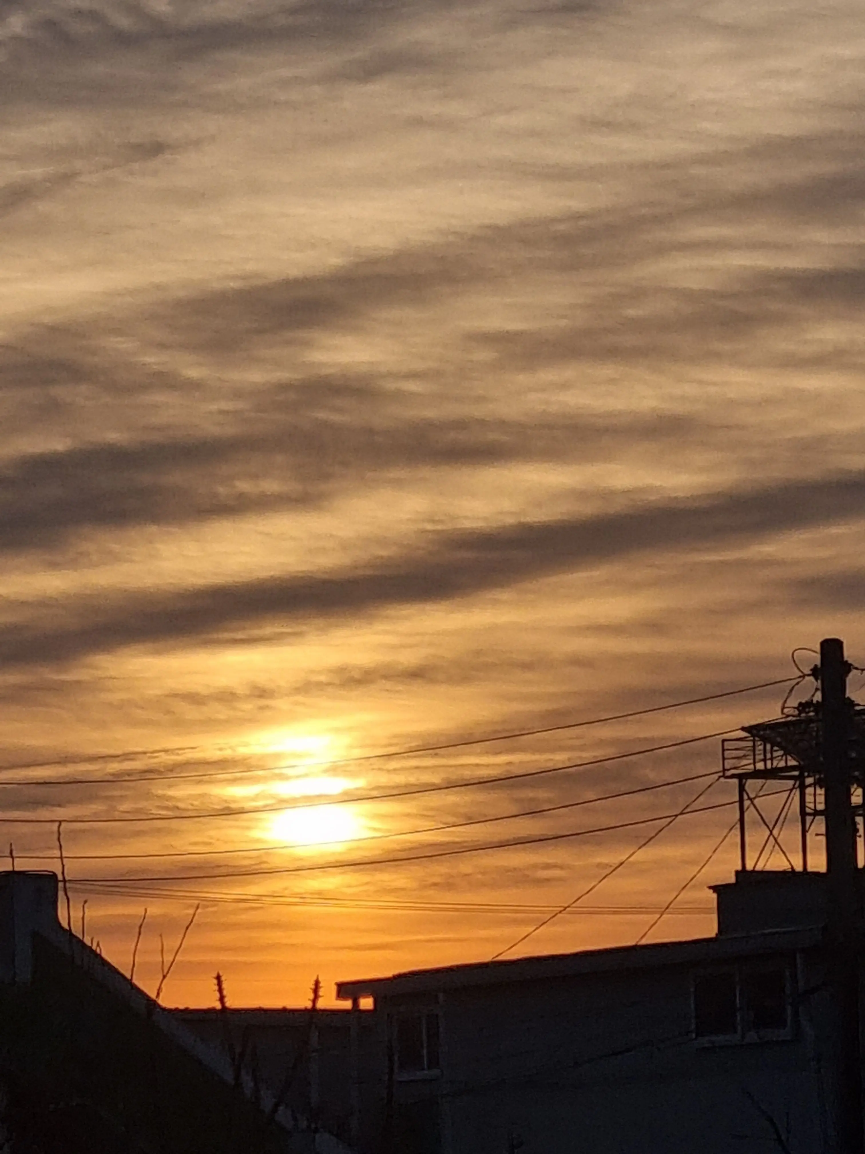 OpaqueShard3316의 배이