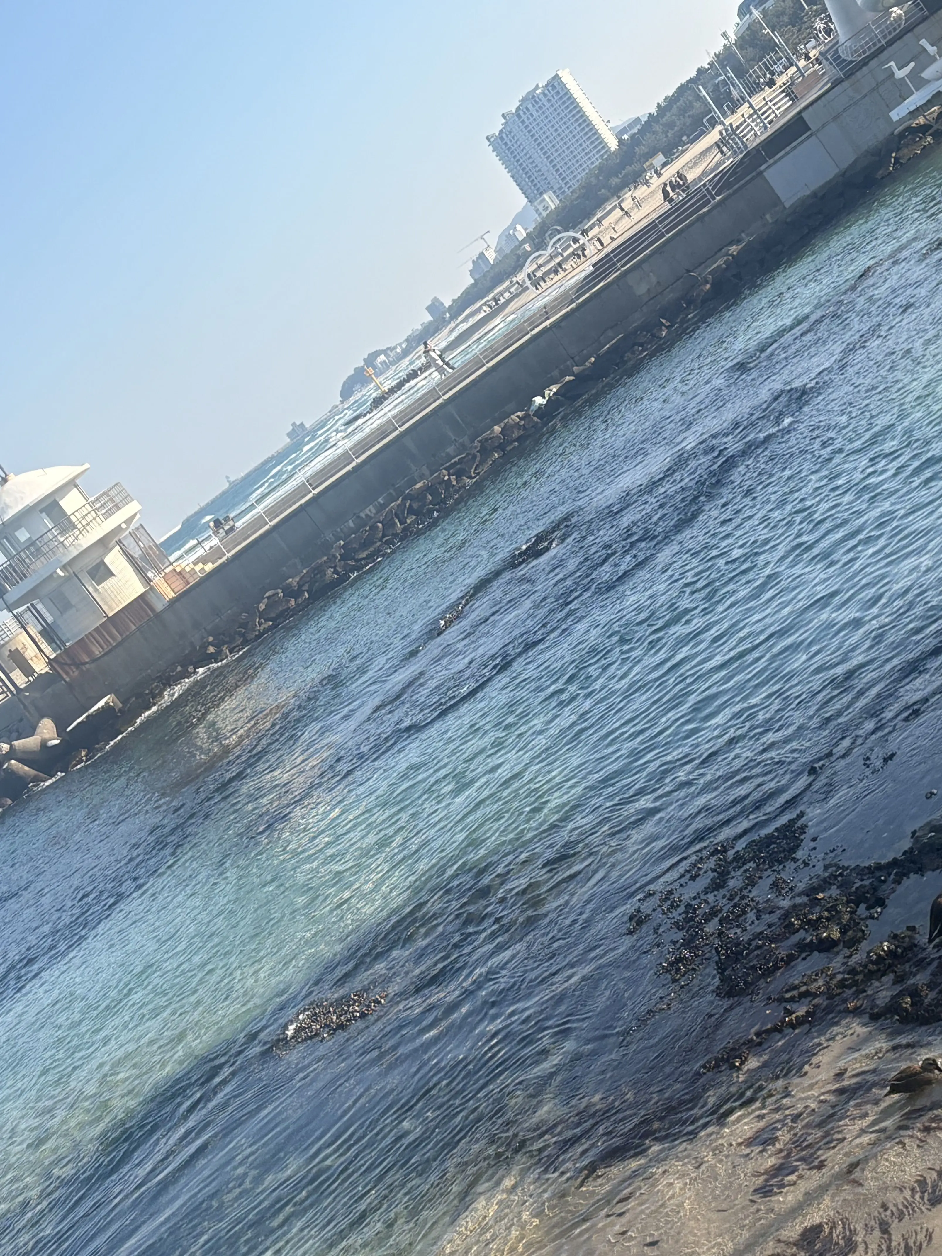 DirectTrout4270의 신비아파트