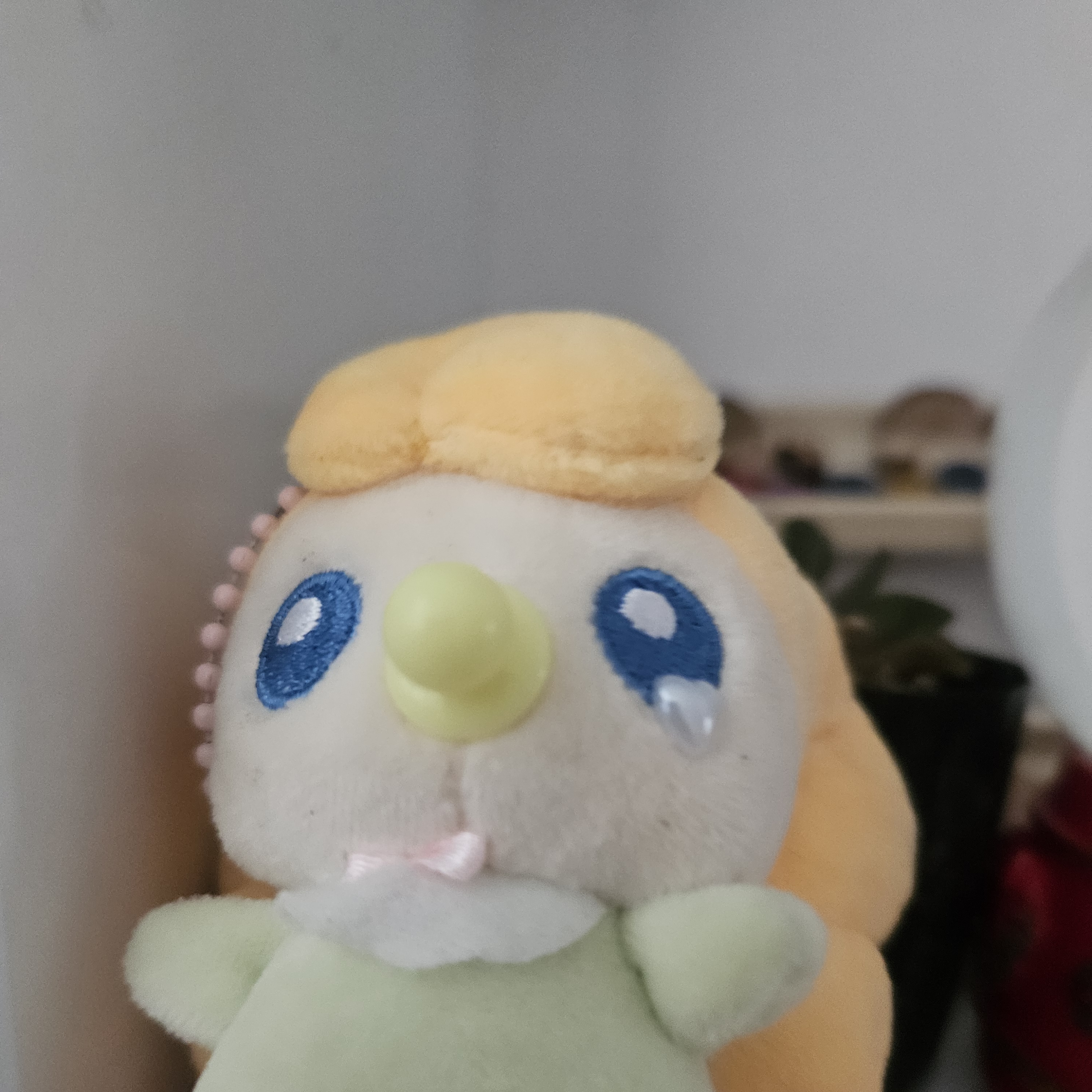 고고프렌즈 (+여우!?) 대표 이미지
