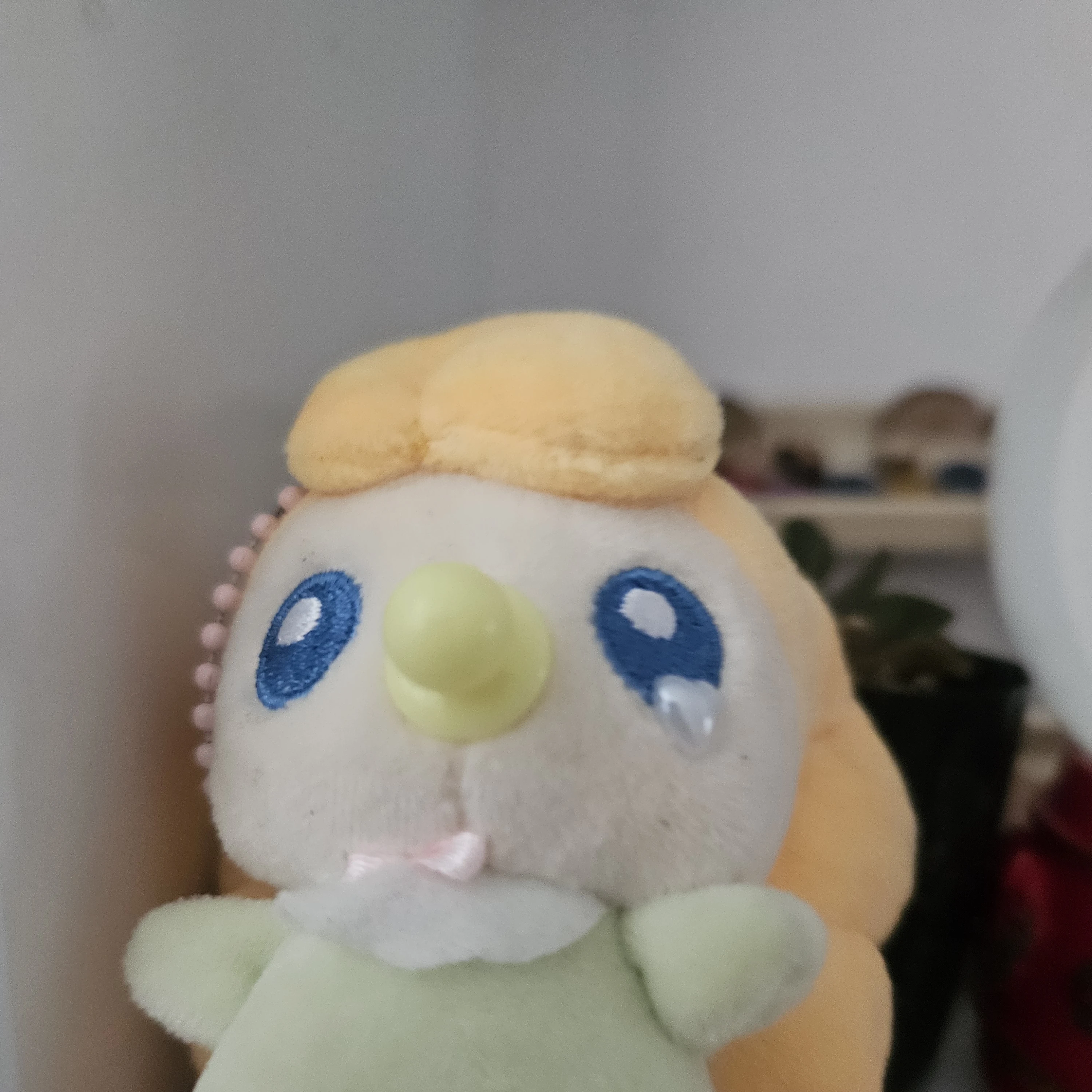 고고프렌즈 (+여우!?)