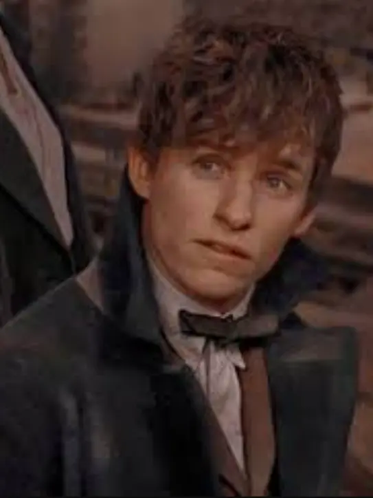 Fujicake22의 Newt Scamander