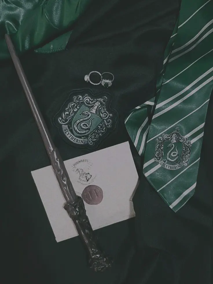 every_things의 {{ Slytherin ADP }}