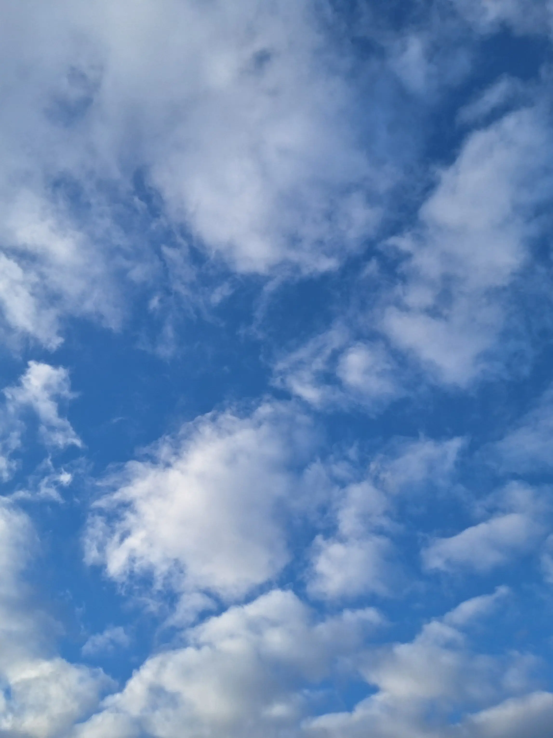 UntidyPhone4387의 미스터리 수사반2