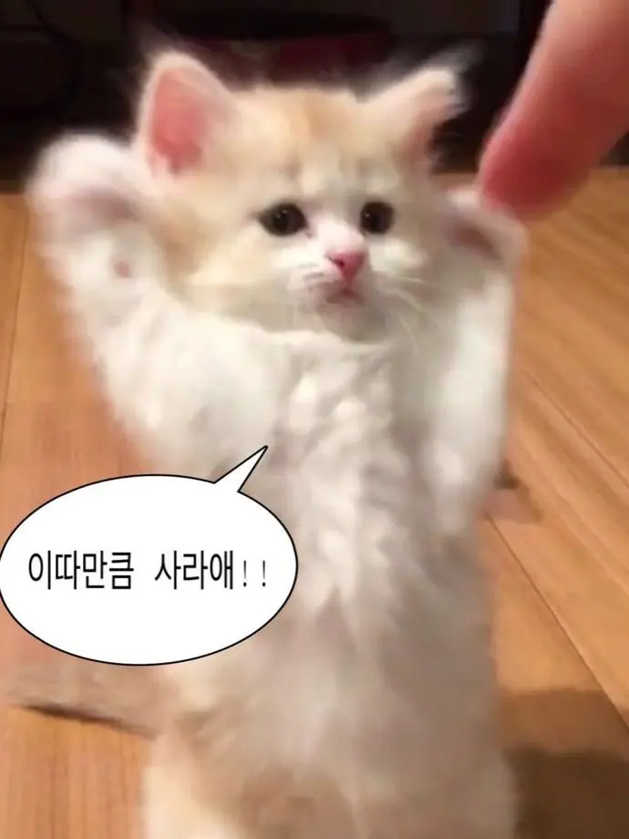 Yulin0119의 " 베드신?! "