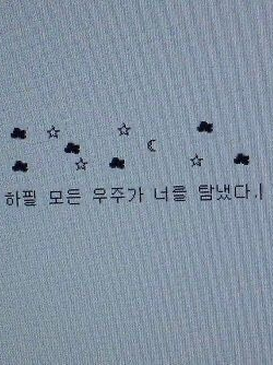 최지우 대표 이미지