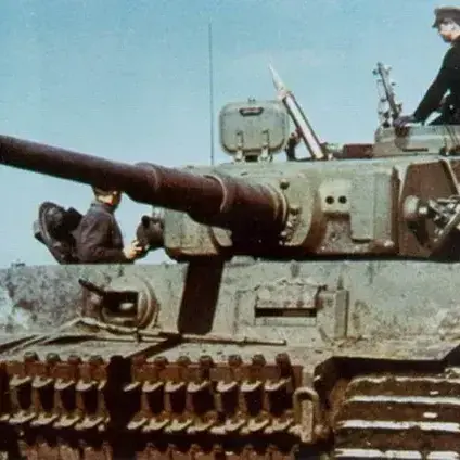 qwert15920의 마지막 범 한마리.