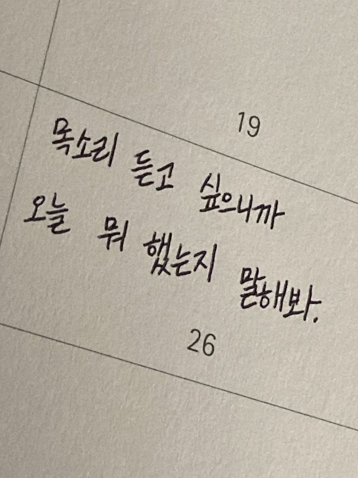 박지원 대표 이미지