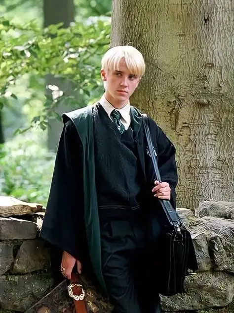 HurtApron8555의 Draco malfoy