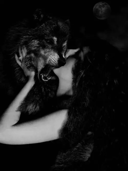 EverleighManddy의 The Alpha’s Fated Luna